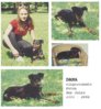 Dana_(Quickgirl)_fotoscan.jpg