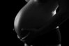 Babybauch Reeva.jpg
