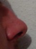 Nase.jpg