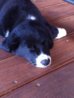 handy bilder doris 253.JPG