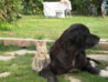DSCN1650.JPG