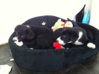 neue handy fotos doris 031.JPG