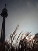 Donauturm 10.10 1.JPG