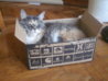 Bild 381.jpg