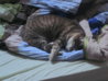 Bild 378.jpg