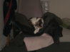 Bild 379.jpg