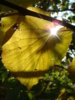 DSC05270.JPG