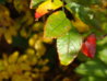 DSC05263.JPG