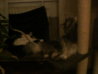 Bild 387.jpg