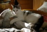 IMGP1681.JPG