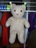 waschbär 002.JPG