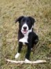 doris 010.JPG