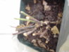 PICT0018.JPG