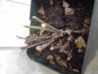 PICT0020.JPG