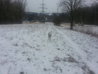 20130314_164603.jpg