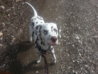 20130319_125857.jpg