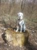 20130319_1303301.jpg