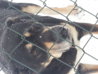 20130325_105132_4.jpg