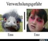 verwechslungsgefahr-emu--emo.jpg