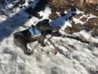 20130304_152348.jpg