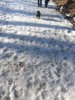 20130304_152623.jpg