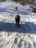 20130304_152721.jpg