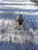 20130304_152729.jpg
