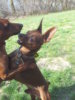 2012-03-25 10.48.46.jpg