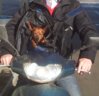 2012-03-25 09.30.58.jpg
