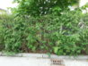 20130504_113413.jpg