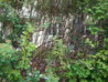 20130504_113403.jpg