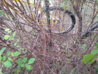 20130504_113431.jpg