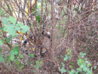 20130504_113423.jpg