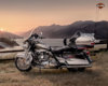 2013-Harley-Davidson-FLHTCUSE8-CVO-UltraClassicElectraGlide5-small.jpg