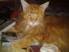 2013-04-28 02_31_26.jpg