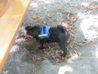 20120812_134736.jpg