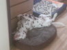 20130620_130525.jpg