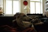 DSC_0007.jpg
