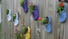 Crocpots-new1-430x247.jpg