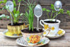 Herbs-Potted-in-Teacups.jpg