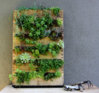 pallet_garden_intro.jpg