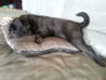 20130626_102616.jpg
