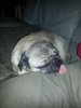 20121218_214247.jpg