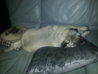 20130126_213538.jpg