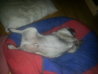 20130201_055311.jpg