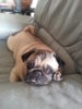 20130313_105829.jpg