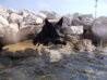 DSCN1994.JPG