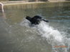 DSCN0177.JPG