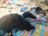DSCN0538.JPG