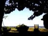 Snapshot_20130724_1.JPG